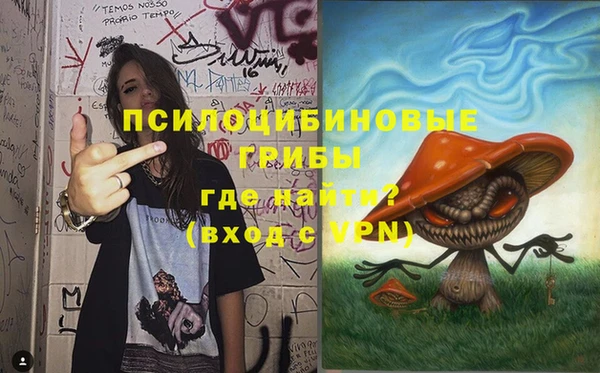 а пвп мука Осинники