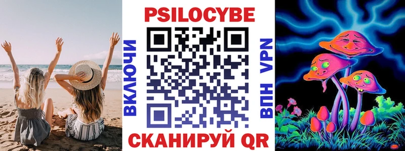 Псилоцибиновые грибы Psilocybe  Алагир 